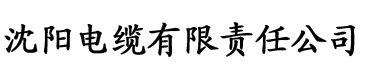 光暴h文电缆厂logo